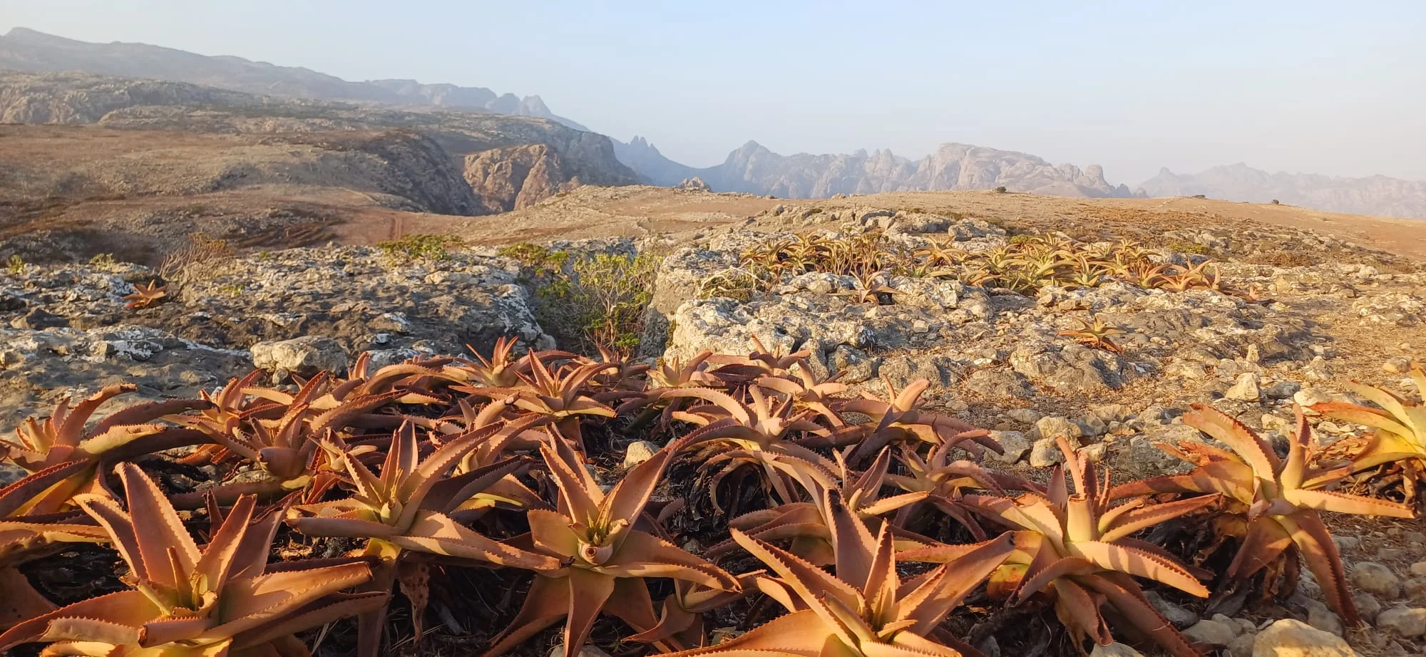 Landscape of Socotra Island