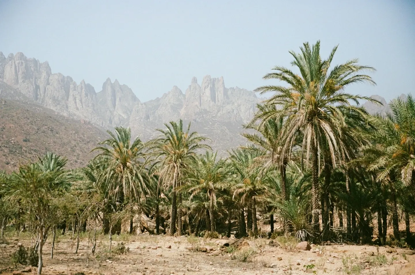 Socotra landscape