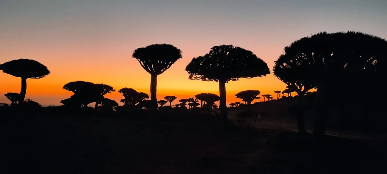 Socotra Island landscape