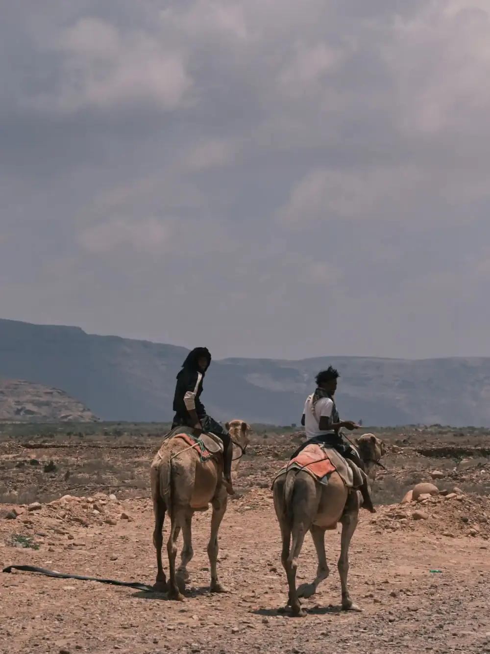 People and culture of Socotra